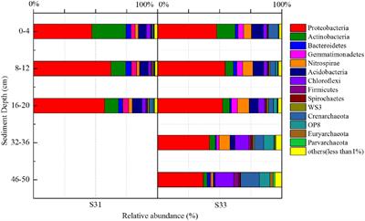 Microbial Diversity and Community Structure of Sulfate-Reducing and Sulfur-Oxidizing Bacteria in Sediment Cores from the East China Sea